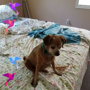 Meet your Posher, Aleta